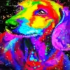 Colorful Wiener Dog Art Diamond Painting