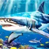 Cool Shark Diamond Painting