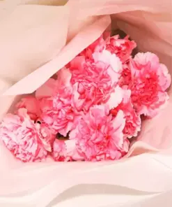 Pink Carnation Flowers Diamond Painting