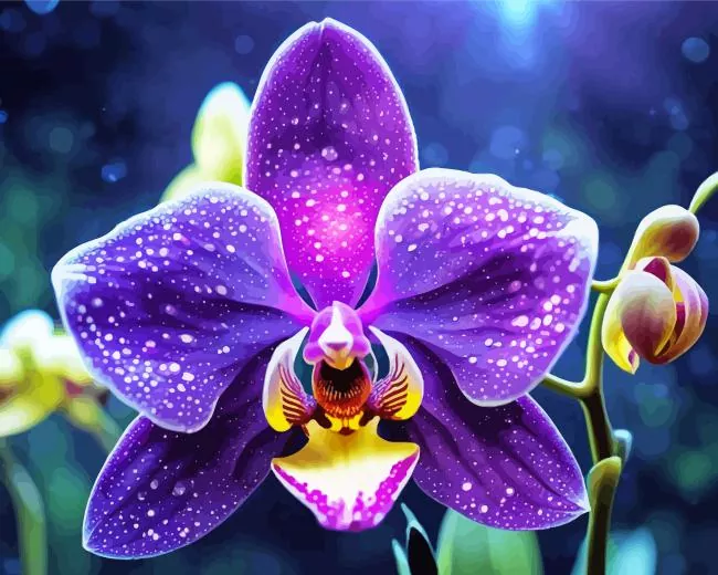 purple orchid Diamond Paintings Purple Orchid Diamond Painting