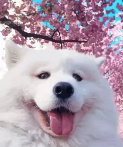 Sakura Dog Diamond Painting