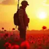 Silhouette Of Soldier In Field Diamond Painting