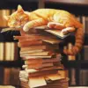 Sleepy Cat Bookshop Art Diamond Painting