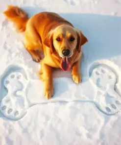 Snow Golden Retriever Diamond Painting