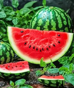 Still Life Watermelon Art Diamond Painting