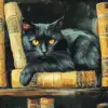 Black Cat Diamond Painting