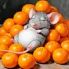 Sleepy Mouse Diamond Painting