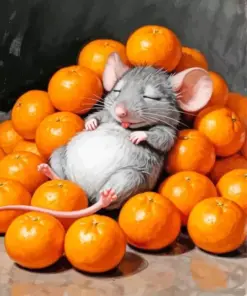 Sleepy Mouse Diamond Painting